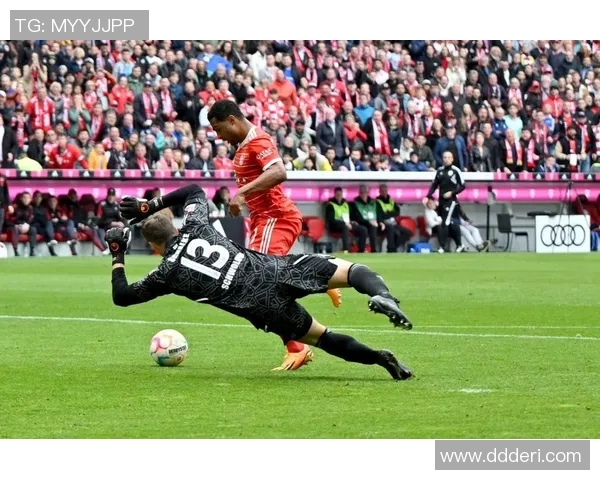 慕尼黑与沙尔克04的激烈对决揭示德甲新赛季的竞争格局与球队实力分析